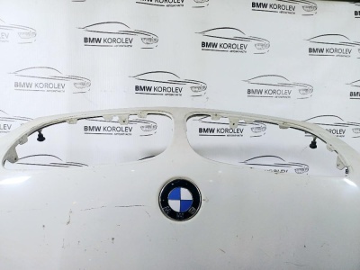 Капот (белый)  X5E70 41617273439