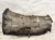 АКПП  6HP-26X N62 X5E53 24007536088