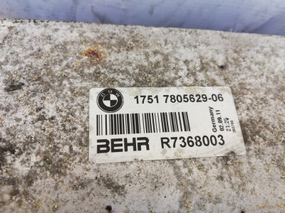   17517805629