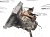 МКПП (G13B) Suzuki Swift (1989-2003)  2472160B01