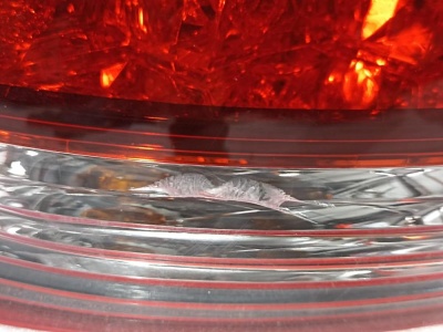 Фонарь задний наружный левый Outlander (GF) 2012> (ПОСЛЕ 03/2015 ГОДА 8330B173)  8330B173