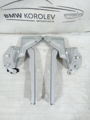 Петли капота (комплект) Passat CC 2008-2017    3C8823301A